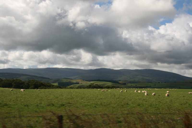 Nieuw-Zeeland 2011 - 1747